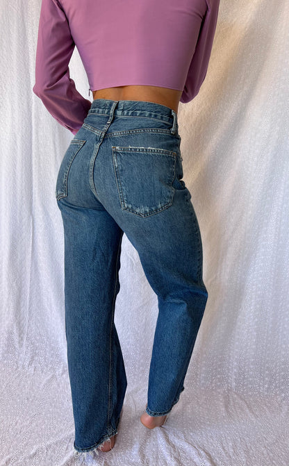 Agolde Wide Leg Ren Jeans